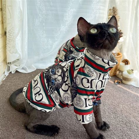 gucci shirt with a cat|cat wearing Gucci.